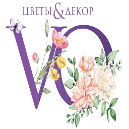 VO.spb.ru Logo