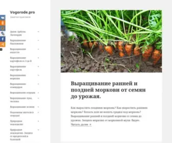 Vogorode.pro(Заметки) Screenshot
