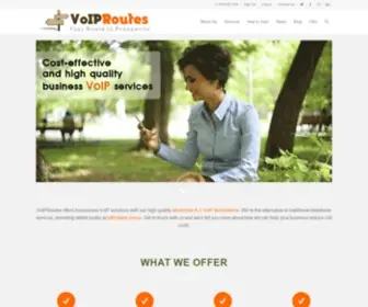 Voiproutes.com(Business VoIP & Wholesale VoIP Termination Provider) Screenshot