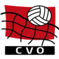 Voleiboloeiras.com Logo