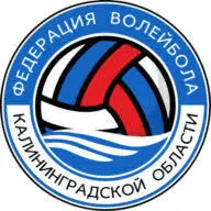 Volley39.ru Favicon