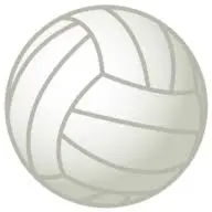 Volleyball-School.net Logo