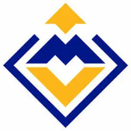 Volunteermemphis.org Favicon
