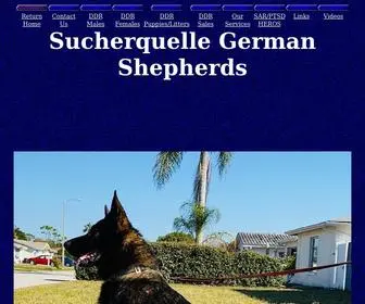 Vomsucherquelle.com(West Virginia German Shepherd breeder with quality DDR pups) Screenshot