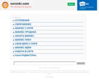 Voronki.com(Воронка продаж) Screenshot