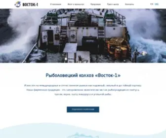 Vostok1.com(АО) Screenshot