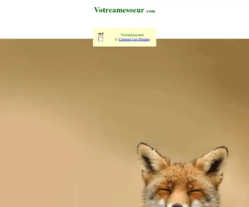 Votreamesoeur.com(Votre âme soeur) Screenshot
