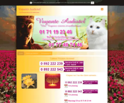 Voyante-Audiotel.com(Voyante Audiotel) Screenshot