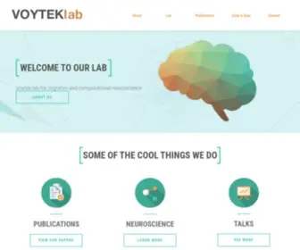 Voyteklab.com(VOYTEKlab) Screenshot