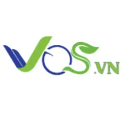 VQS.vn Favicon