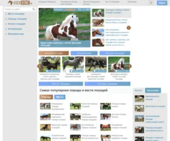 Vseokone.ru(Официальный сайт лошадей и о конном спорте) Screenshot