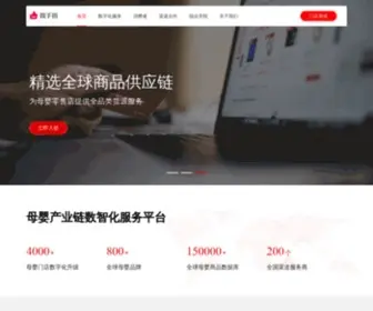 Vshouzhi.com(私立医院) Screenshot