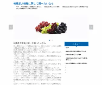 VSnge.com(転職求人情報に関して調べたいなら) Screenshot