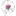 Vsof.org Favicon