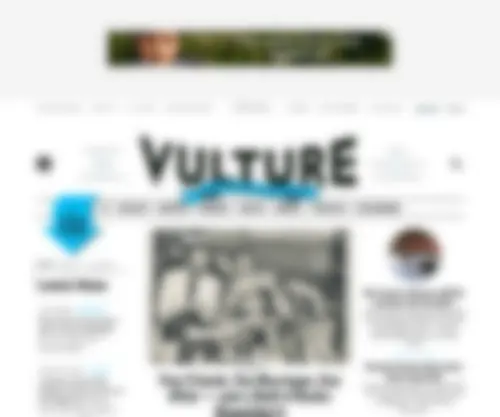 Vulture.com(Entertainment News) Screenshot