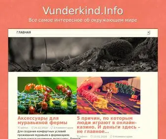 Vunderkind.info(самое) Screenshot