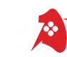 Vuscode.com Favicon