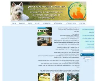 VVC.co.il(בניית אתרים) Screenshot