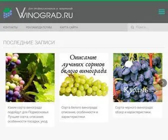 VVinograd.ru(Срок) Screenshot