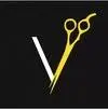 Vybes.sg Favicon