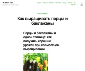 Vyrastisad.ru(Перцы и баклажаны в одной теплице) Screenshot