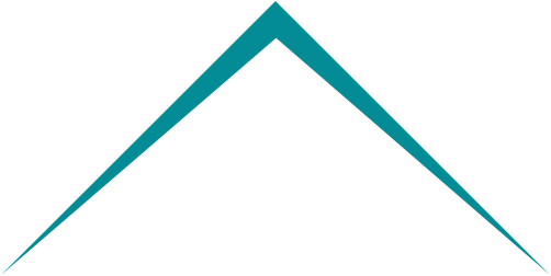 W-Home.net Logo