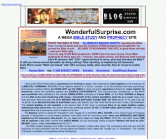 W3School.com(Wonderful Surprise) Screenshot