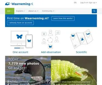 Waarneming.nl(Amfibieën) Screenshot