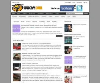 Wackyowl.com(Wacky Owl) Screenshot