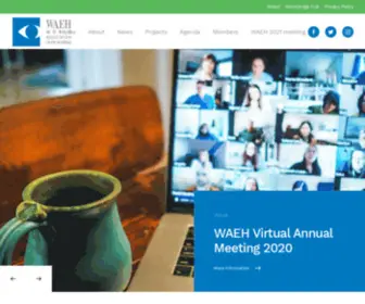 Waeh.org(The World Association of Eye Hospitals) Screenshot