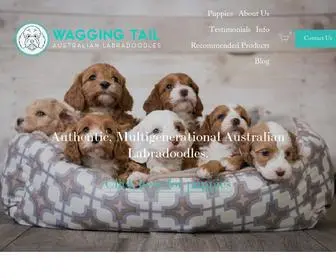 Waggingtaillabradoodles.com(Wagging Tail Labradoodles) Screenshot