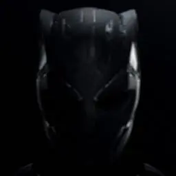 Wakandaforevertickets.com Favicon