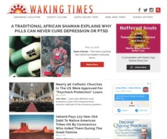 Wakingtimes.com(Waking Times) Screenshot