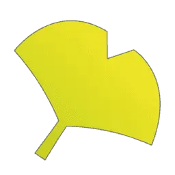 Wakoguru.com Favicon