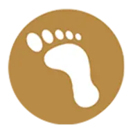 Walkforarcause.com Favicon