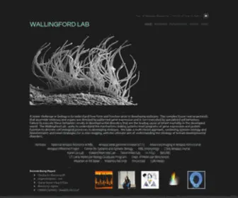 Wallingfordlab.org(WALLINGFORD LAB) Screenshot