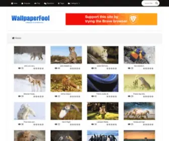 Wallpaperfool.com(Free wallpapers for your desktop or mobile) Screenshot