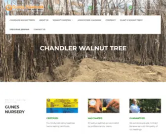 Walnutsaplingsforsale.com(Chandler Walnuts Saplings and Trees) Screenshot