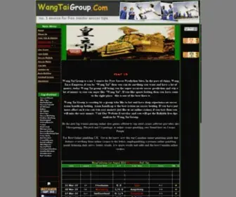 Wangtaigroup.com Screenshot