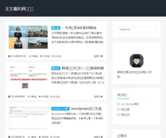 Wangwenlei.com(王文磊) Screenshot