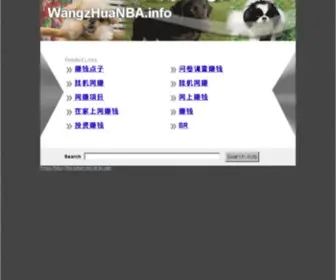 Wangzhuanba.info(The Leading Wangz Hua NBA Site on the Net) Screenshot