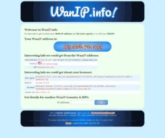 Wanip.info(Get to know your WAN IP address) Screenshot