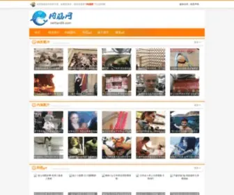 Waok.net(女生读书首选) Screenshot