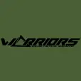 Warriors.pt Favicon