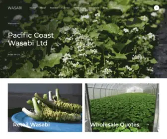 Wasabia.com(Wasabi Essentials Ltd) Screenshot