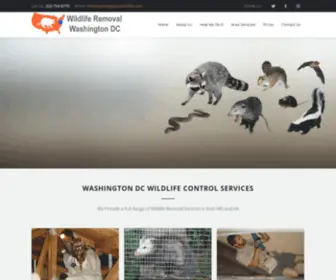 Washingtondcwildlife.com(Washington DC Wildlife Removal) Screenshot