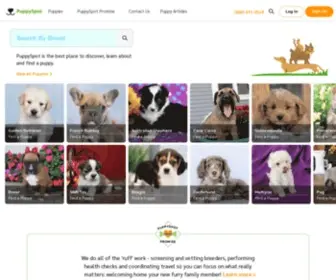 Washingtonpuppiesforsale.com(Top Breeders) Screenshot