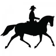 Washingtonstables.com Favicon