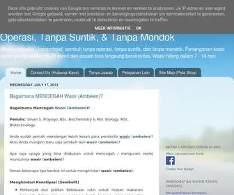 Wasirsembuh.com(Pengobatan Wasir (Ambeien) Screenshot