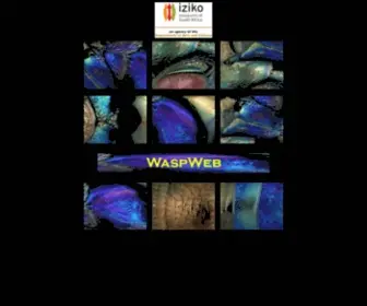 Waspweb.org(Afrotropical wasps) Screenshot
